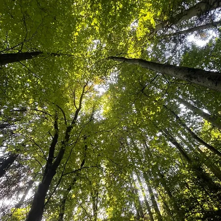 Cozy Tiny House דירה Kyllburg