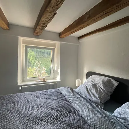 Cozy Tiny House * Kyllburg